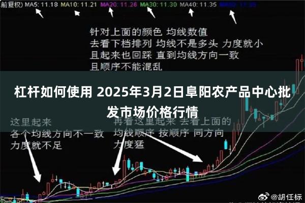 杠杆如何使用 2025年3月2日阜阳农产品中心批发市场价格行情