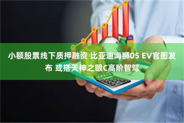 小额股票线下质押融资 比亚迪海狮05 EV官图发布 或搭天神之眼C高阶智驾