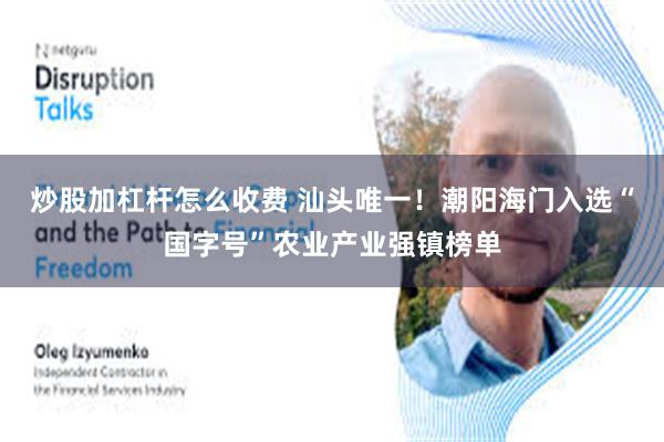 炒股加杠杆怎么收费 汕头唯一！潮阳海门入选“国字号”农业产业强镇榜单