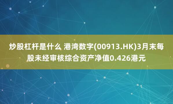 炒股杠杆是什么 港湾数字(00913.HK)3月末每股未经审核综合资产净值0.426港元
