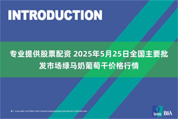 专业提供股票配资 2025年5月25日全国主要批发市场绿马奶葡萄干价格行情