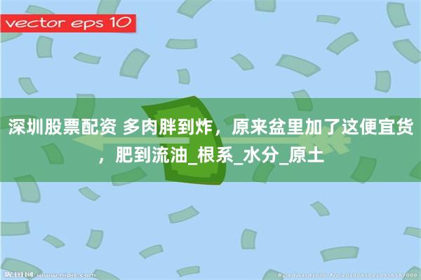 深圳股票配资 多肉胖到炸，原来盆里加了这便宜货，肥到流油_根系_水分_原土