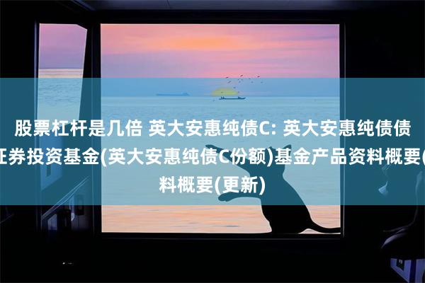 股票杠杆是几倍 英大安惠纯债C: 英大安惠纯债债券型证券投资基金(英大安惠纯债C份额)基金产品资料概要(更新)