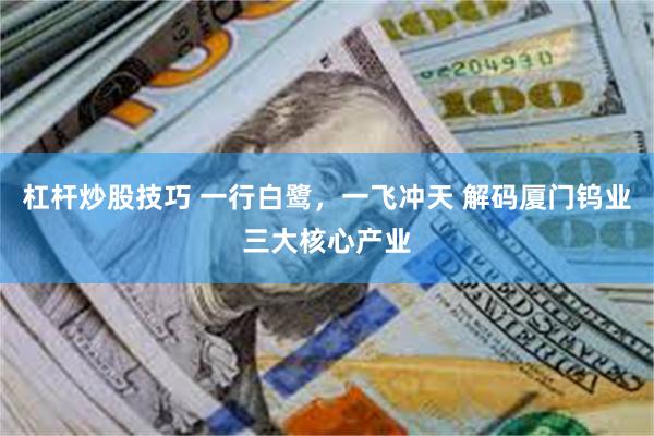 杠杆炒股技巧 一行白鹭，一飞冲天 解码厦门钨业三大核心产业