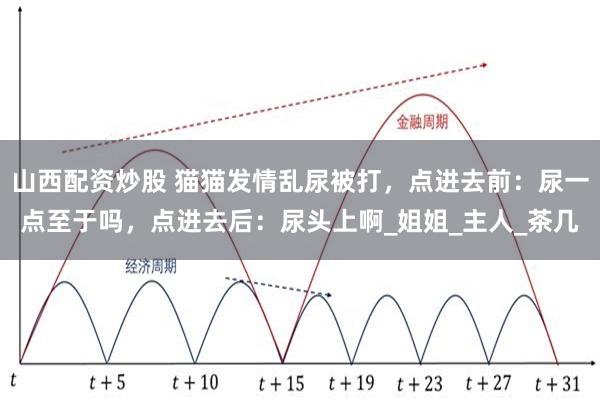 山西配资炒股 猫猫发情乱尿被打，点进去前：尿一点至于吗，点进去后：尿头上啊_姐姐_主人_茶几
