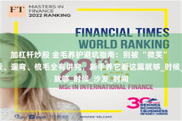 加杠杆炒股 金毛养护避坑指南：别被 “微笑” 骗了，喂饭、遛弯、梳毛全有讲究，新手养它看这篇就够_时候_沙发_时间
