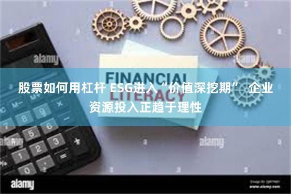 股票如何用杠杆 ESG进入“价值深挖期”  企业资源投入正趋于理性