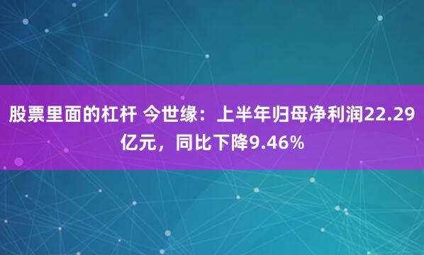 股票里面的杠杆 今世缘：上半年归母净利润22.29亿元，同比下降9.46%